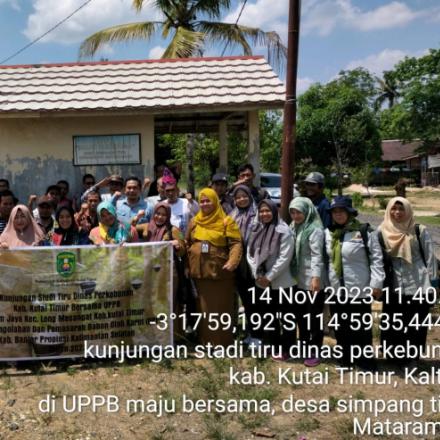 UPPB Maju Bersama Desa Simpang Tiga Dapat Kunjungan Istimewa Dari Dinas Perkebunan Kutai Timur